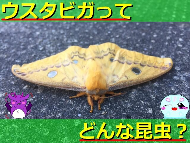 Thumbnail of post image 045